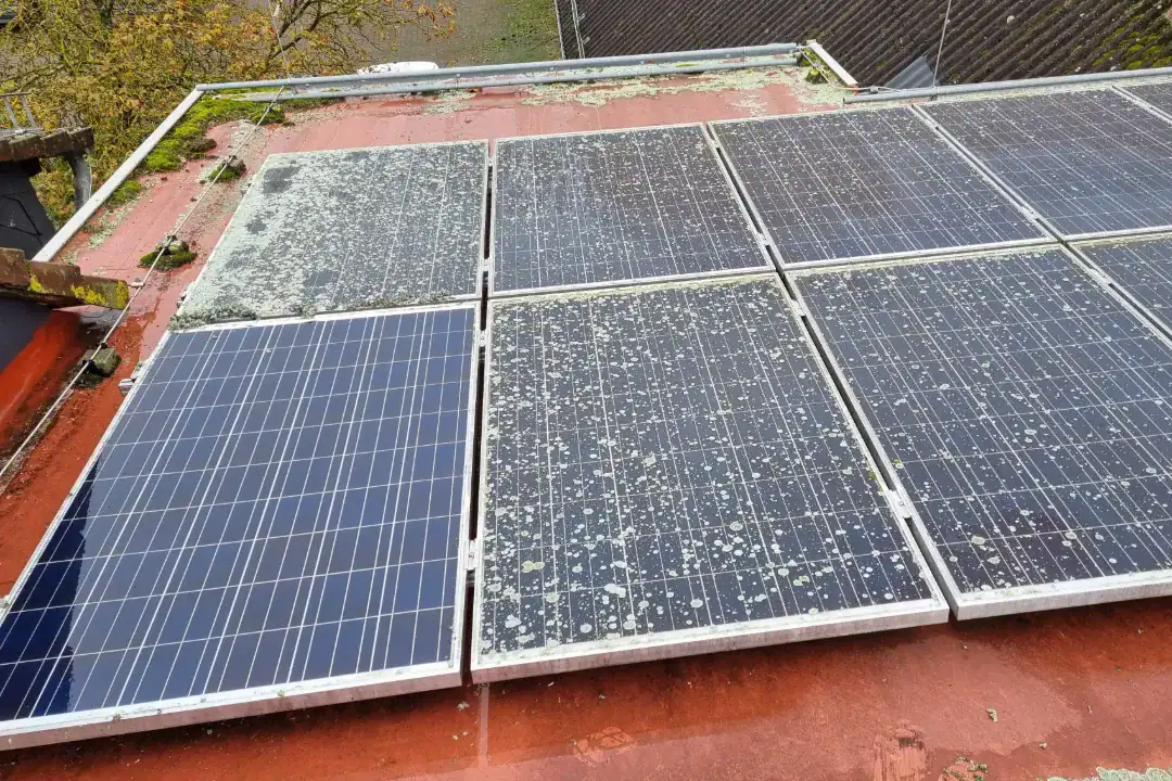 Solar Panel Cleaning Sunshine Coast